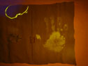 Fluorescene Handprint